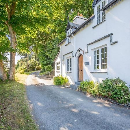 Braich-Y-Celyn Lodge Aberdyfi Exterior foto